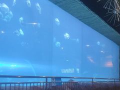 -华夏文旅西安度假区