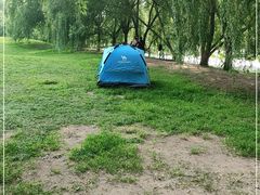 -长白岛森林公园