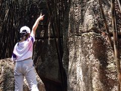 -寻龙山风景旅游区