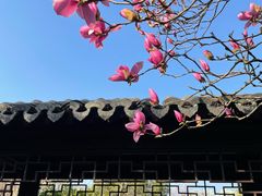 -杭州西子湖四季酒店-WL BISTRO西湖餐厅(灵隐路店)