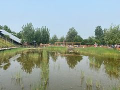 -北京鹿世界主题园