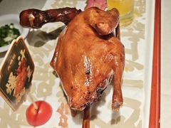 -大鸽饭(动物园店)
