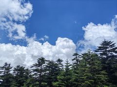 -峨眉山风景名胜区