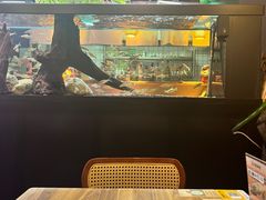 -阿泽料理