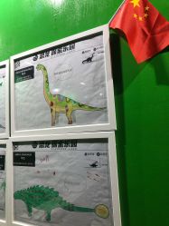 -恐龙探索乐园(磁器口店)