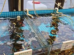 -渡海小渔村.老辈日照菜