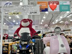 -洛阳郁金香牡丹园