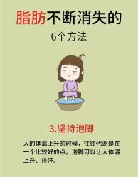 -Fundi张玉珊修身堂·indiba·BTL科技瘦身