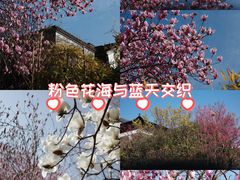 -绮园景区