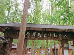 -东平国家森林公园