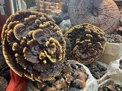 -海勤盛海味干货市场