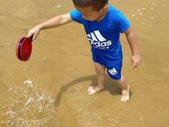 -西秀海滩公园