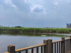 -五甲塘生态湿地公园