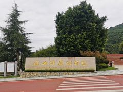 -铁山坪森林公园