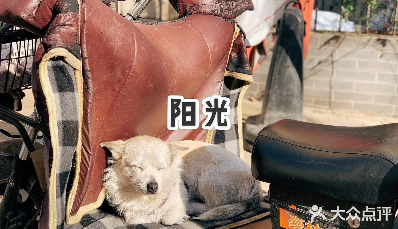 嘿，这美好的人间烟火