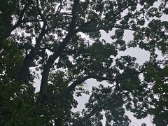 -花溪公园