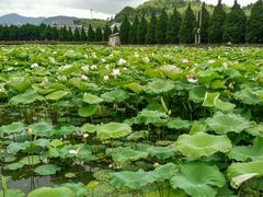 -古田会议纪念馆