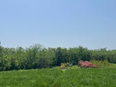 -盘龙城国家考古遗址公园