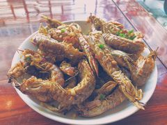 皮皮虾-八面来福(金华商城)