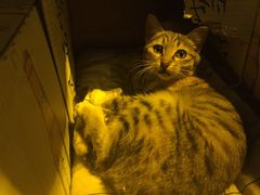 -在路上酒吧(大理古城店)