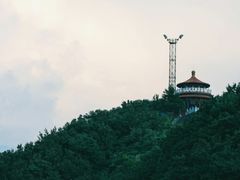 -江南天池