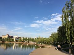 -雁滩公园