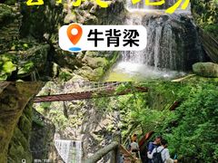 -牛背梁国家森林公园