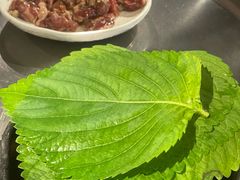 -炽城·烤肉名家(鸿达中央广场店)
