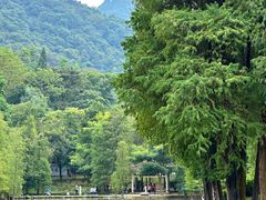 -广州市白云山风景名胜区