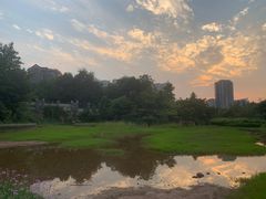 -重庆彩云湖湿地公园
