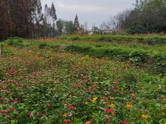 -桤木河湿地公园