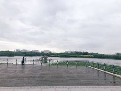 -大兴滨河森林公园