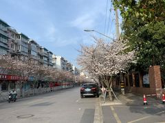 -永乐路-路侧停车场