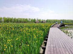 -永定河休闲森林公园