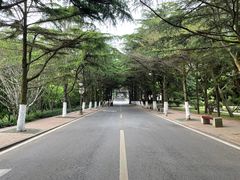 -八大关景区