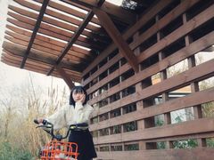 -白鹭湾湿地公园