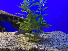 -上海海洋水族馆