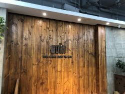 -ODIN 奥丁形象设计 