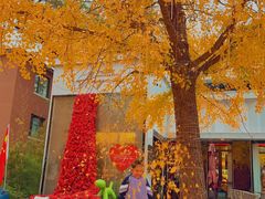 -天正河鲀·河豚亭(大连店)