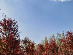 -沈阳市东陵公园