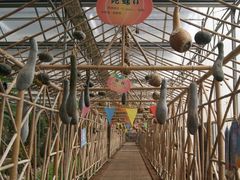 景点-观光南瓜园