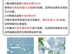 -CGWANG王氏教育(上海校区)