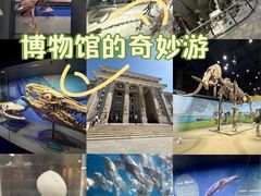 -国家自然博物馆