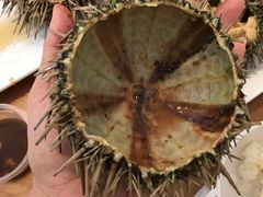 -海胆小馆(东北水饺·春柳店)