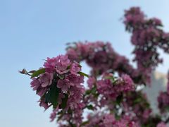 -海棠花溪(元大都城垣遗址公园)