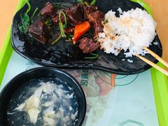 -上海野生动物园老虎餐厅