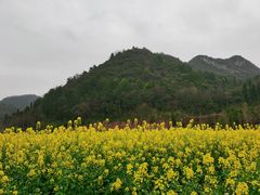 -贵阳市花溪国家城市湿地公园