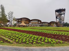 -中国天府农业博览园