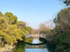 -西溪国家湿地公园