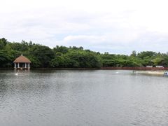 -清迈夜间动物园